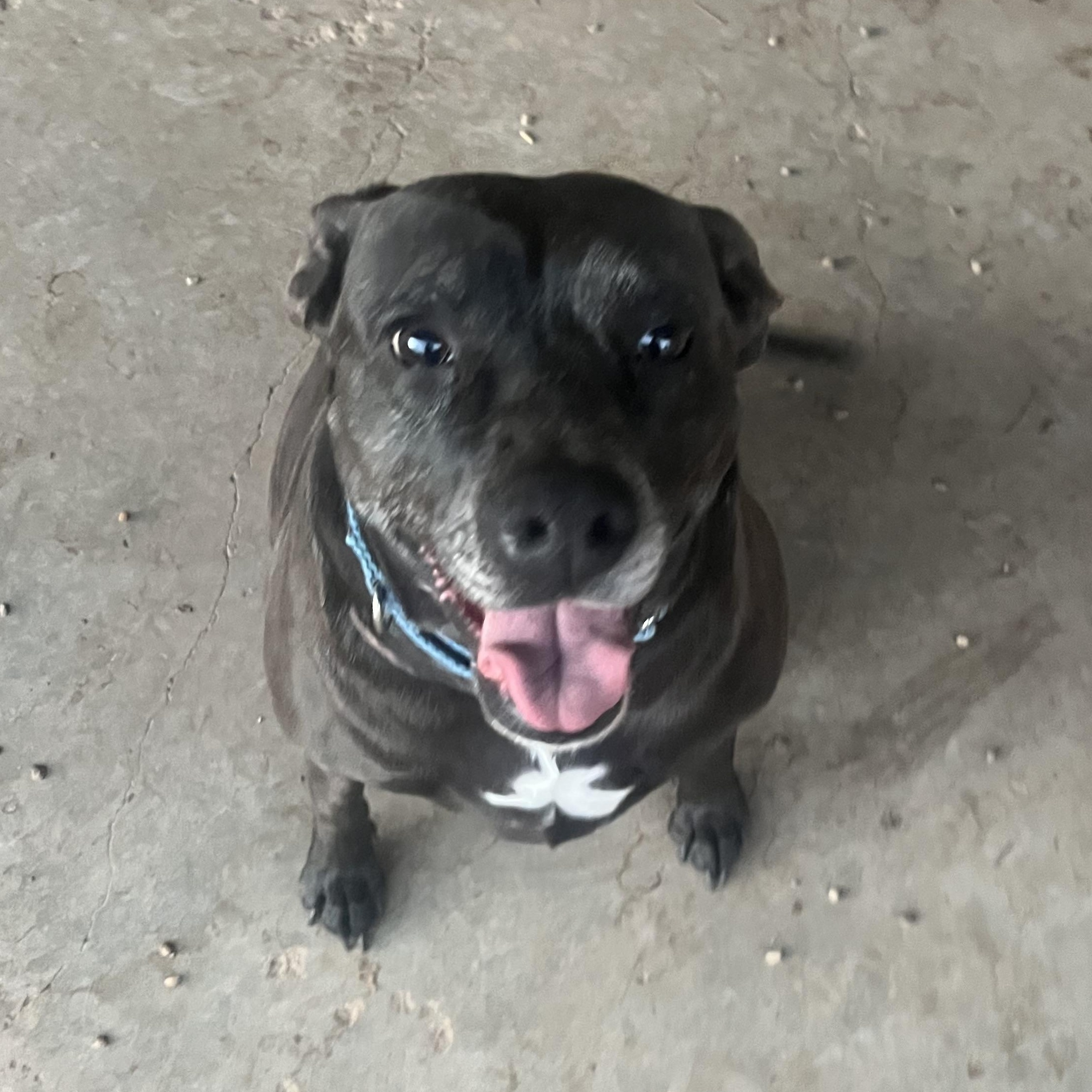 Minnie — thumbnail 2