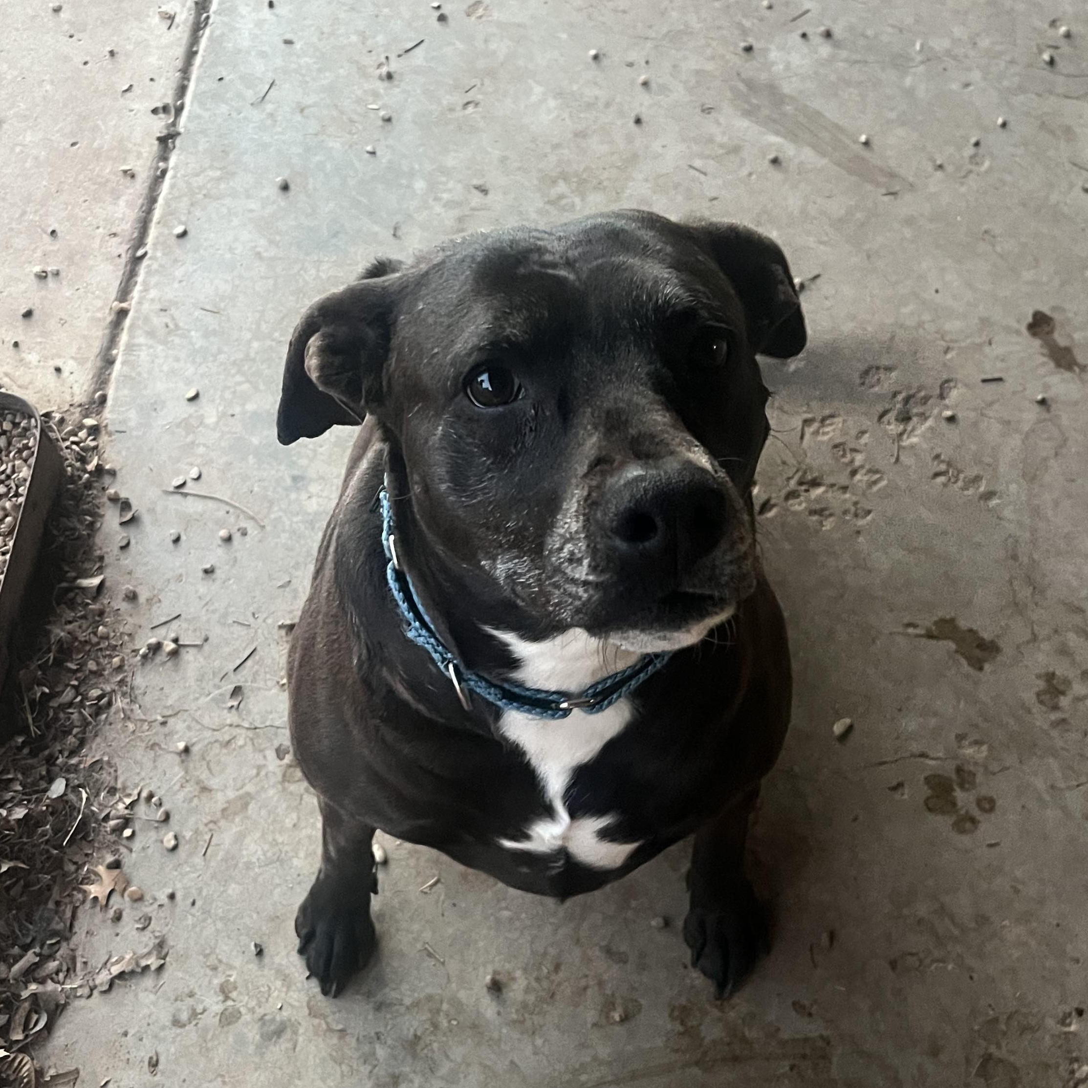 Minnie — thumbnail 4