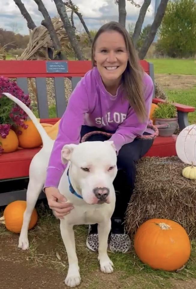 Enlarge Adonis GCI Trained Graduate!!, an adopted mixed breed in Elyria, OH image 3/6