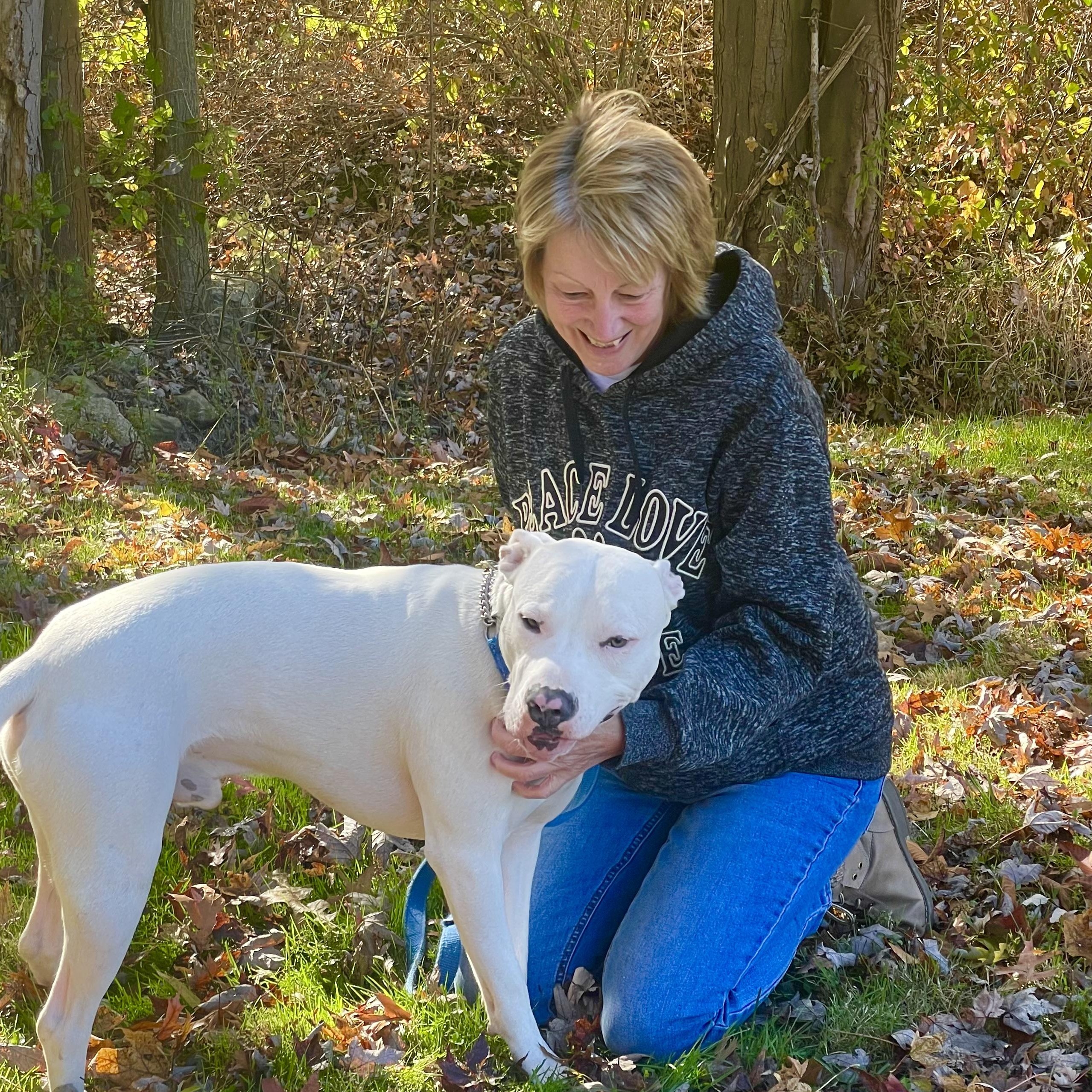 Enlarge Adonis GCI Trained Graduate!!, an adopted mixed breed in Elyria, OH image 1/6