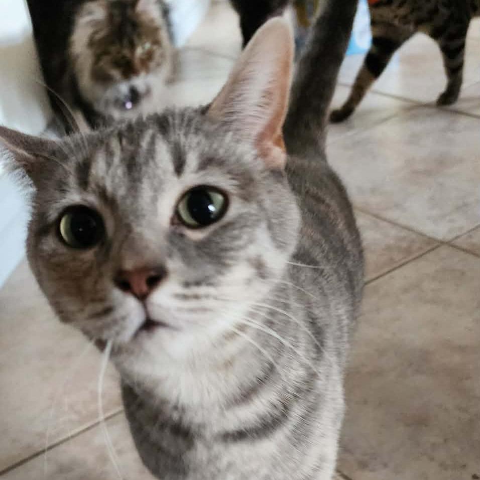 Little Missy Rickard