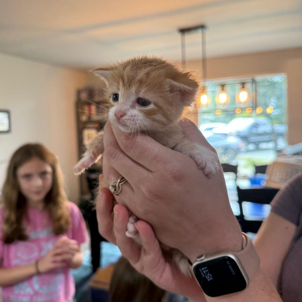 Photo of Garfield