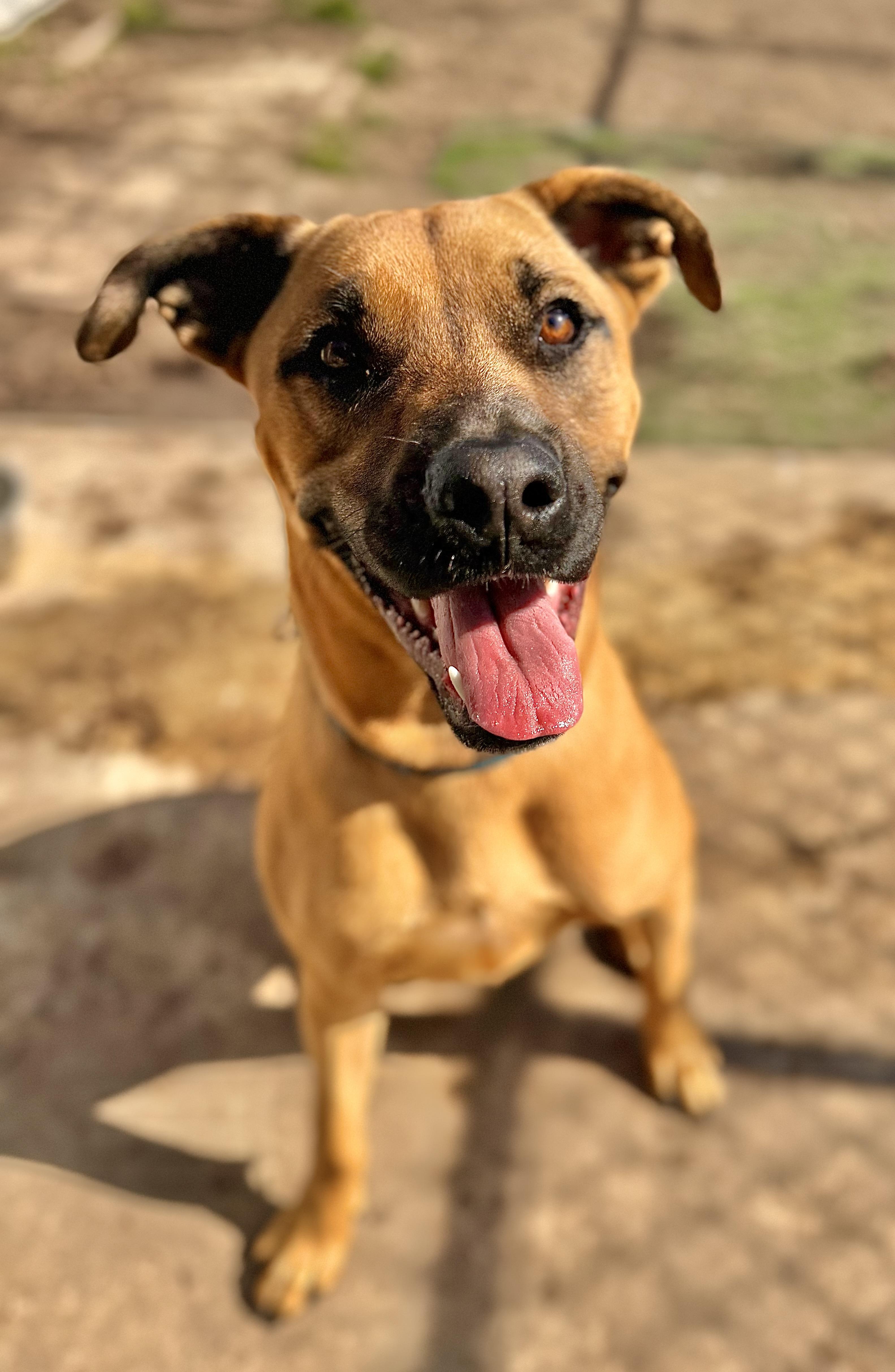 Luke — thumbnail 2