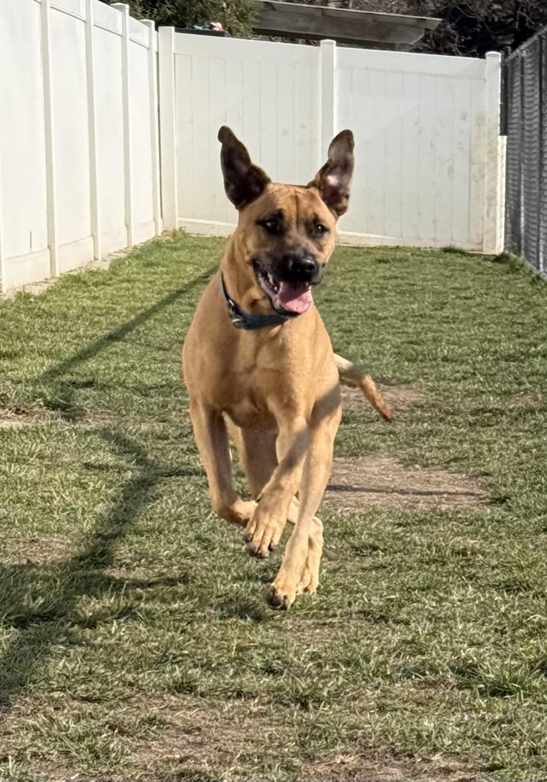 Luke — thumbnail 3