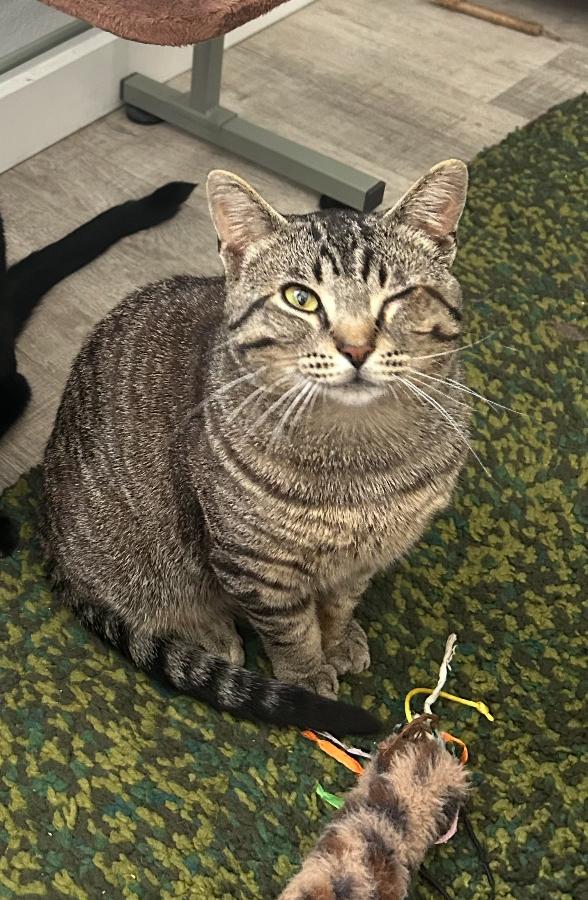 Oliver