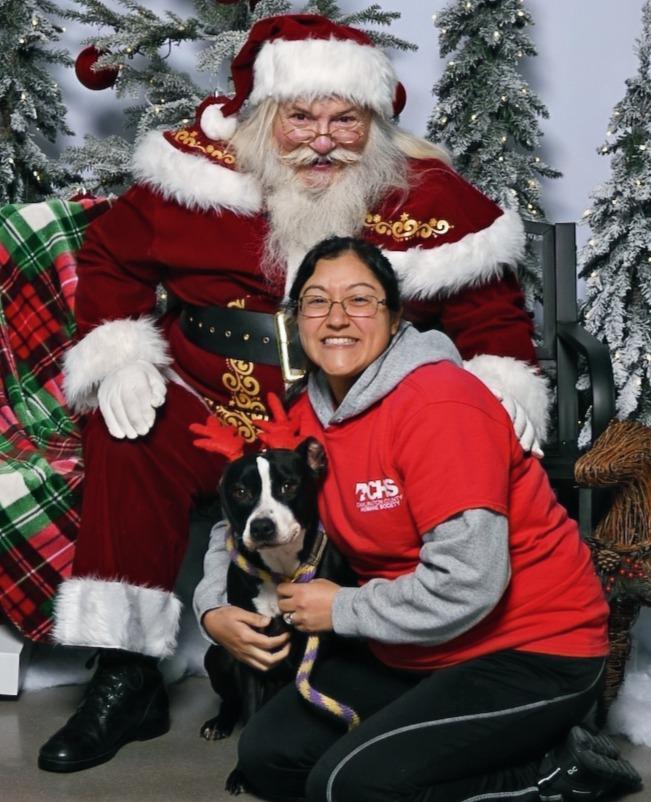 Leila Ali, a Adoptable mixed breed in Hartsville, SC image 4/6