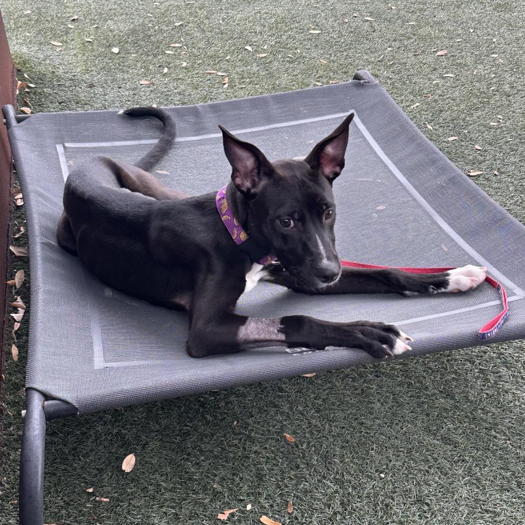 Keke — thumbnail 2