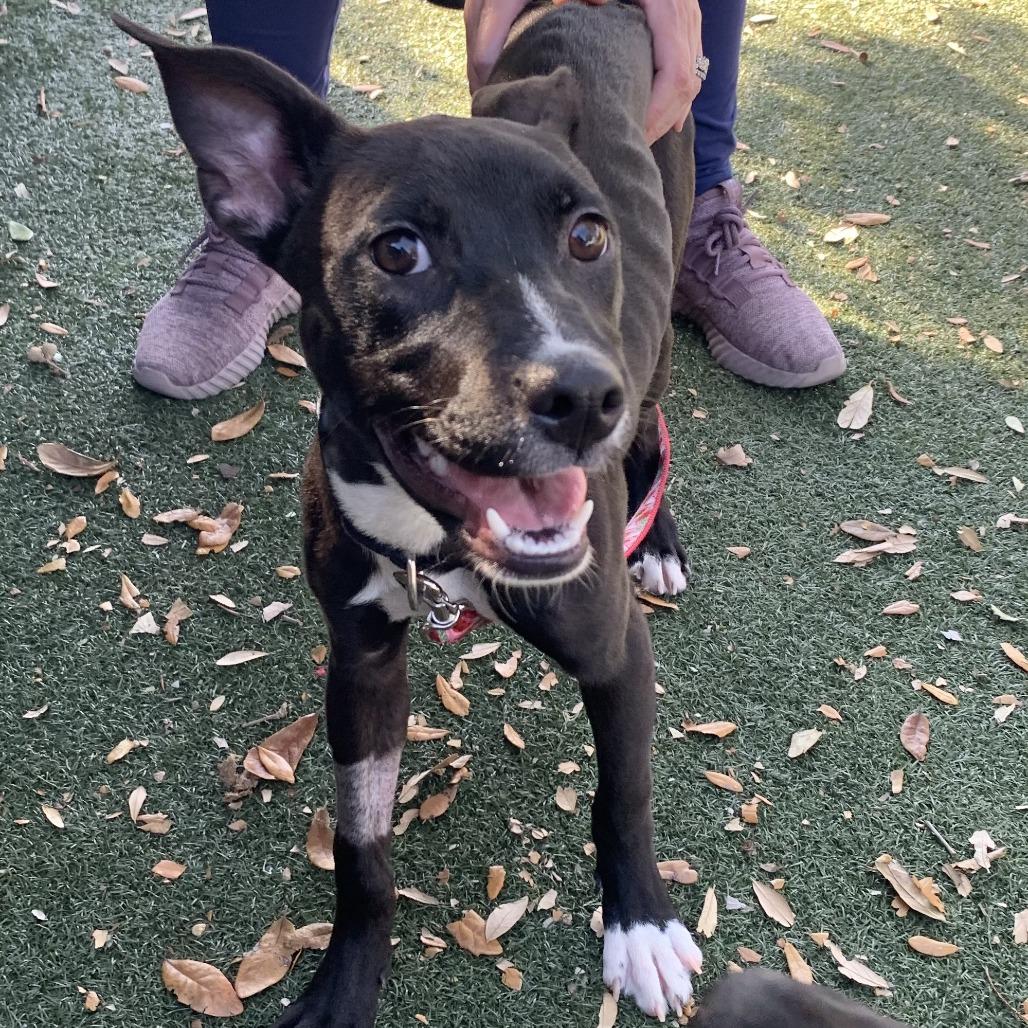 Keke — thumbnail 3