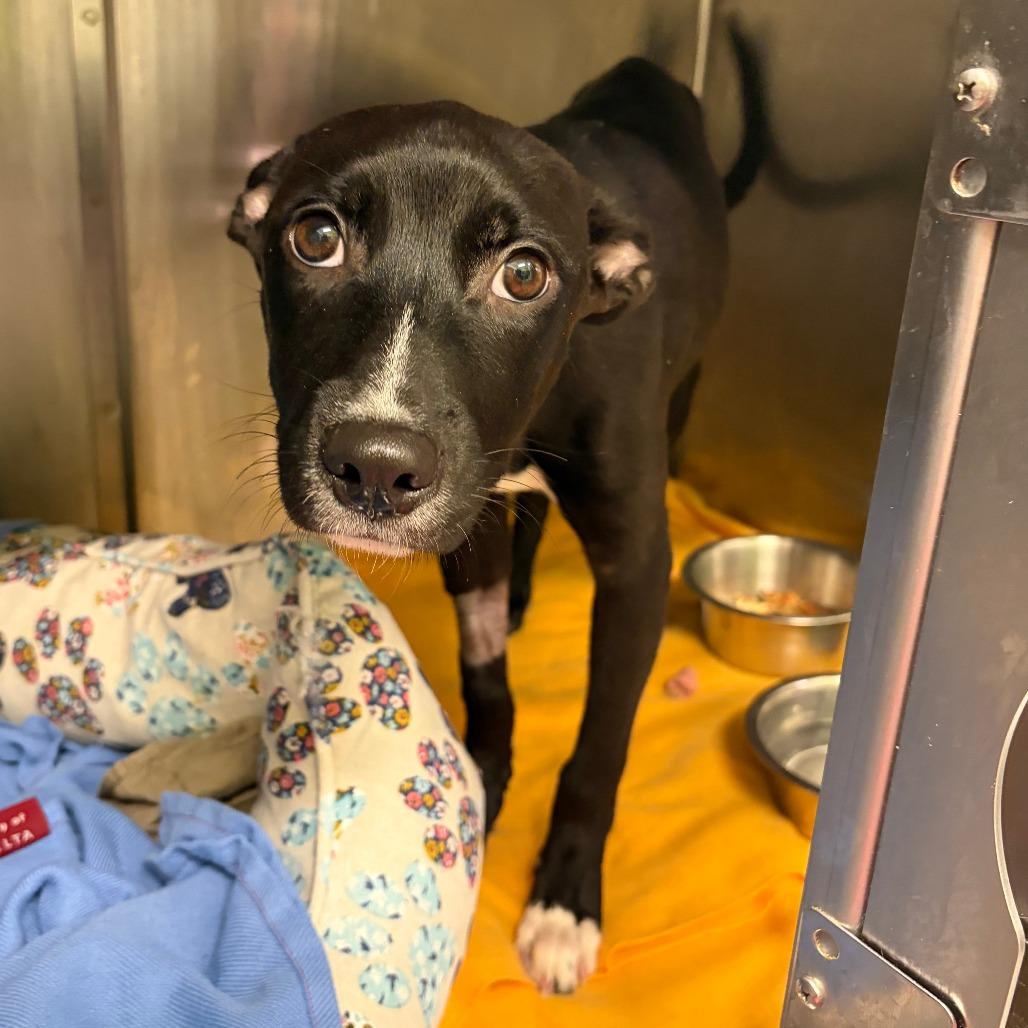 Keke — thumbnail 4