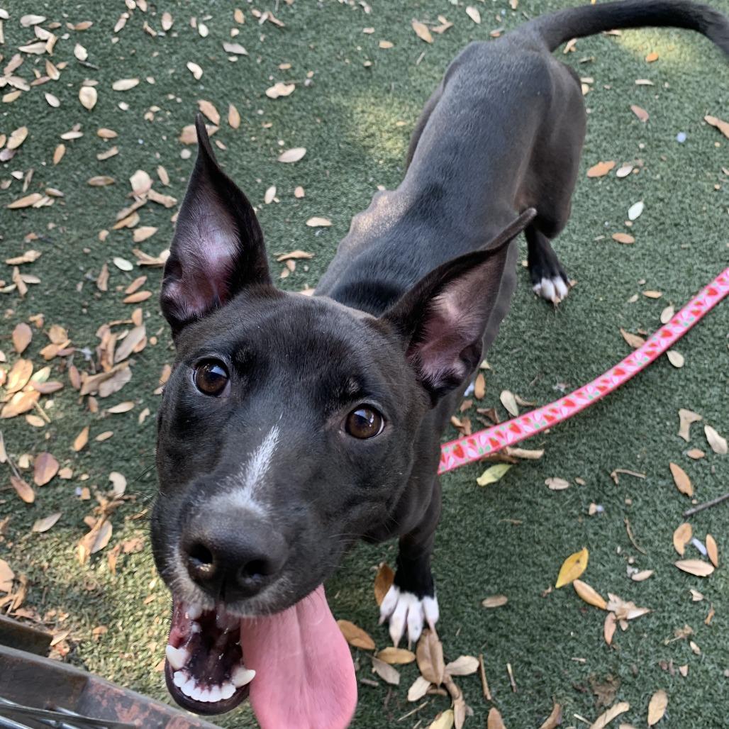 Keke — thumbnail 5