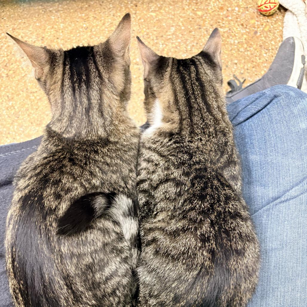 Bunny (c2025) — thumbnail 5