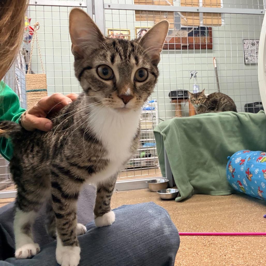 Bunny (c2025) — thumbnail 6