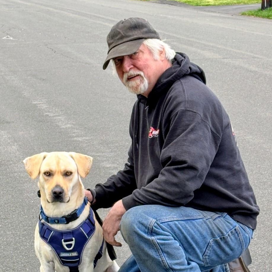 Enlarge Johnny -In the Hudson Valley, NY, an adoptable mixed breed in Willington, CT image 6/6