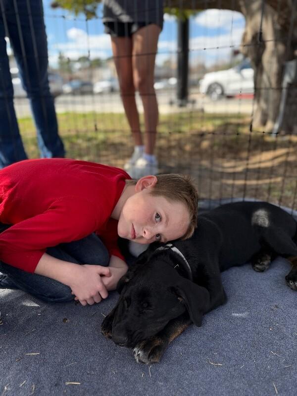 Ludo Boop-the-Snoot McWigglebutt — thumbnail 4