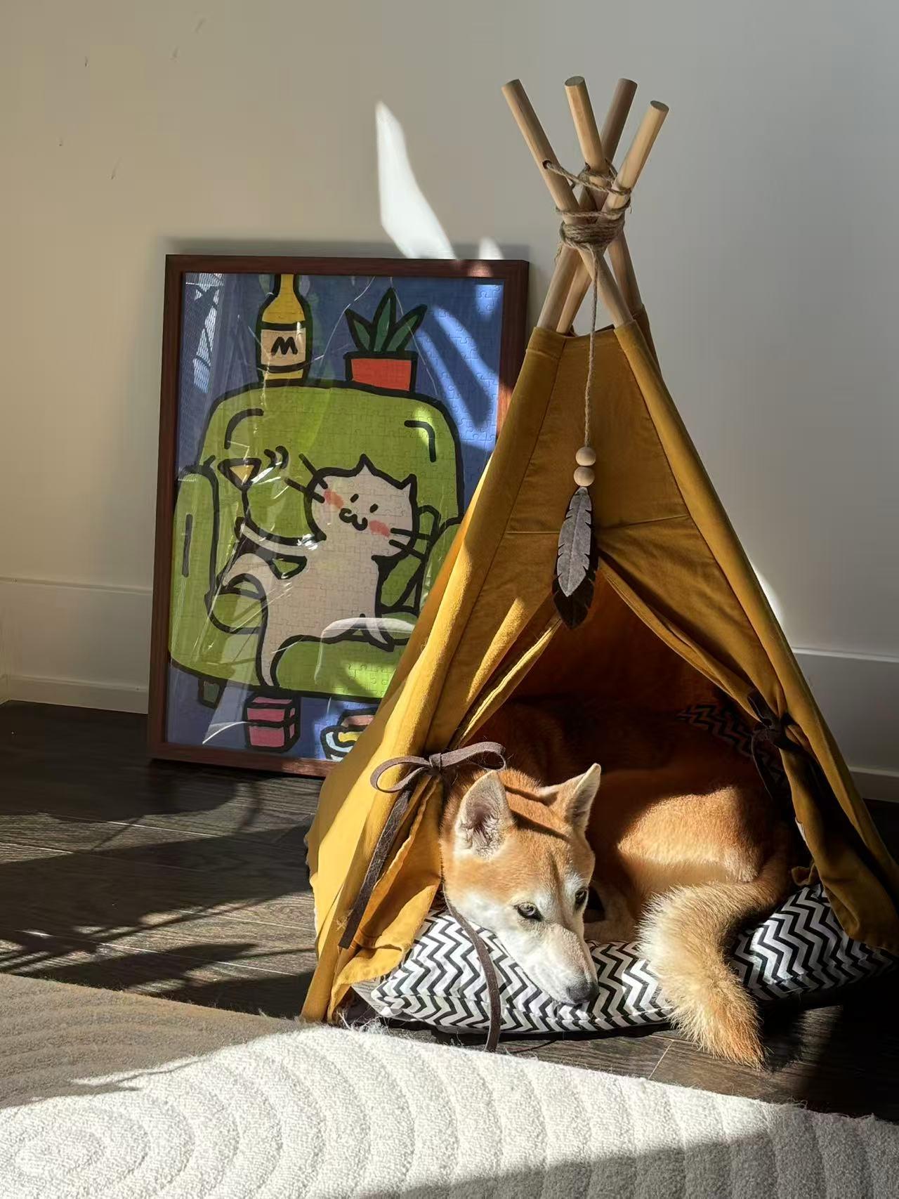 Enlarge Peppa, a Adopted Shiba Inu in Maple, ON image 3/6