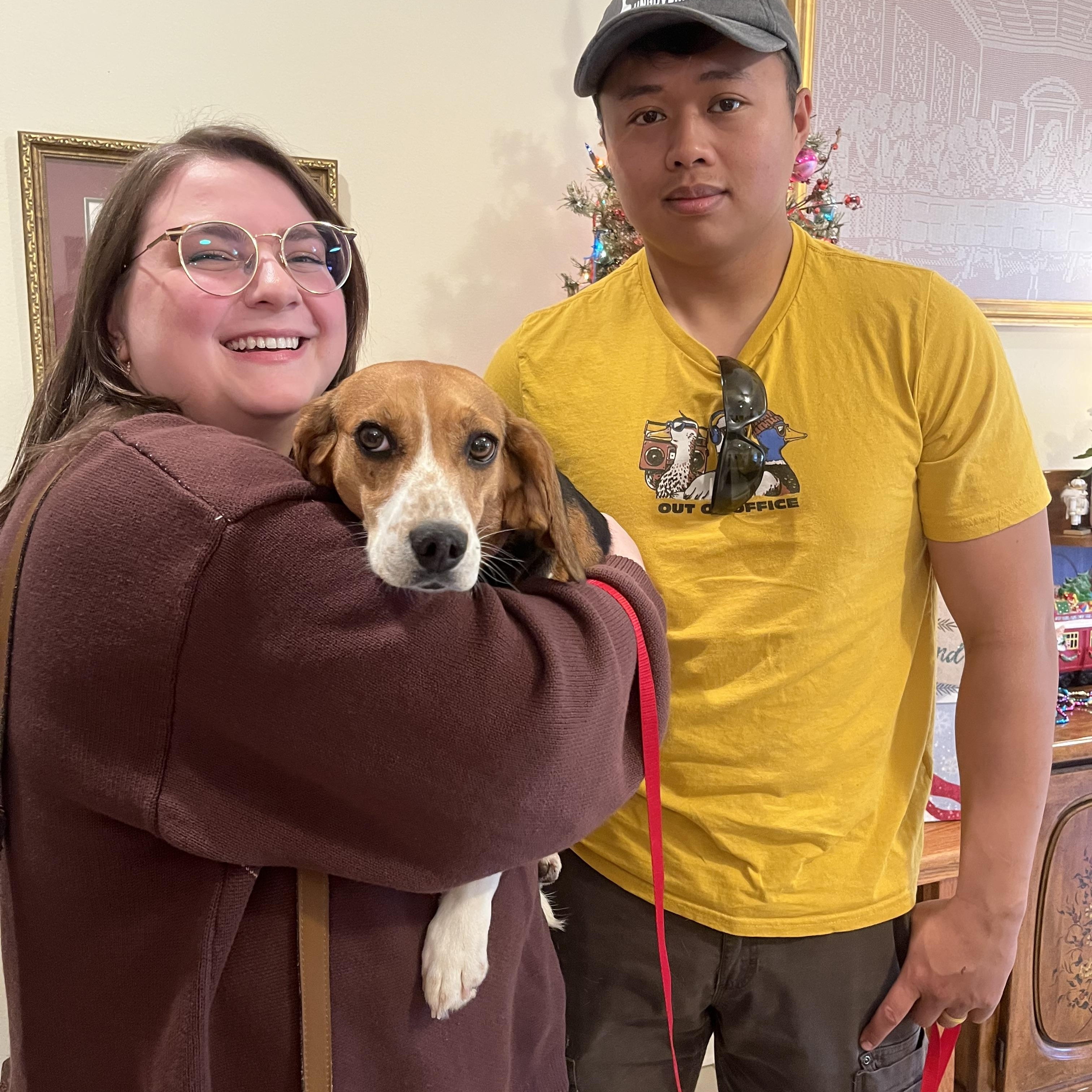 Ruby, an adopted Beagle in Prairieville, LA image 1/6