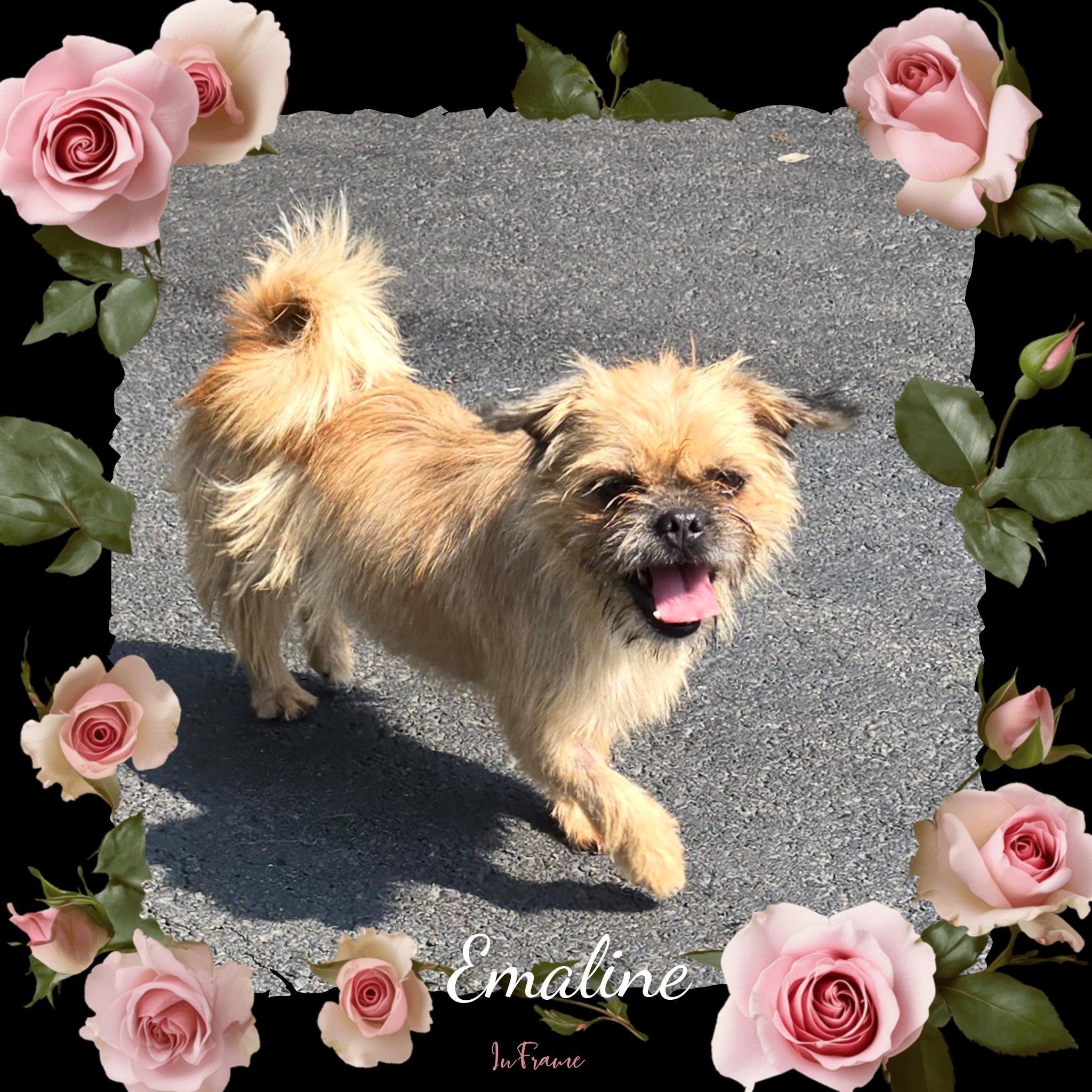 Emaline