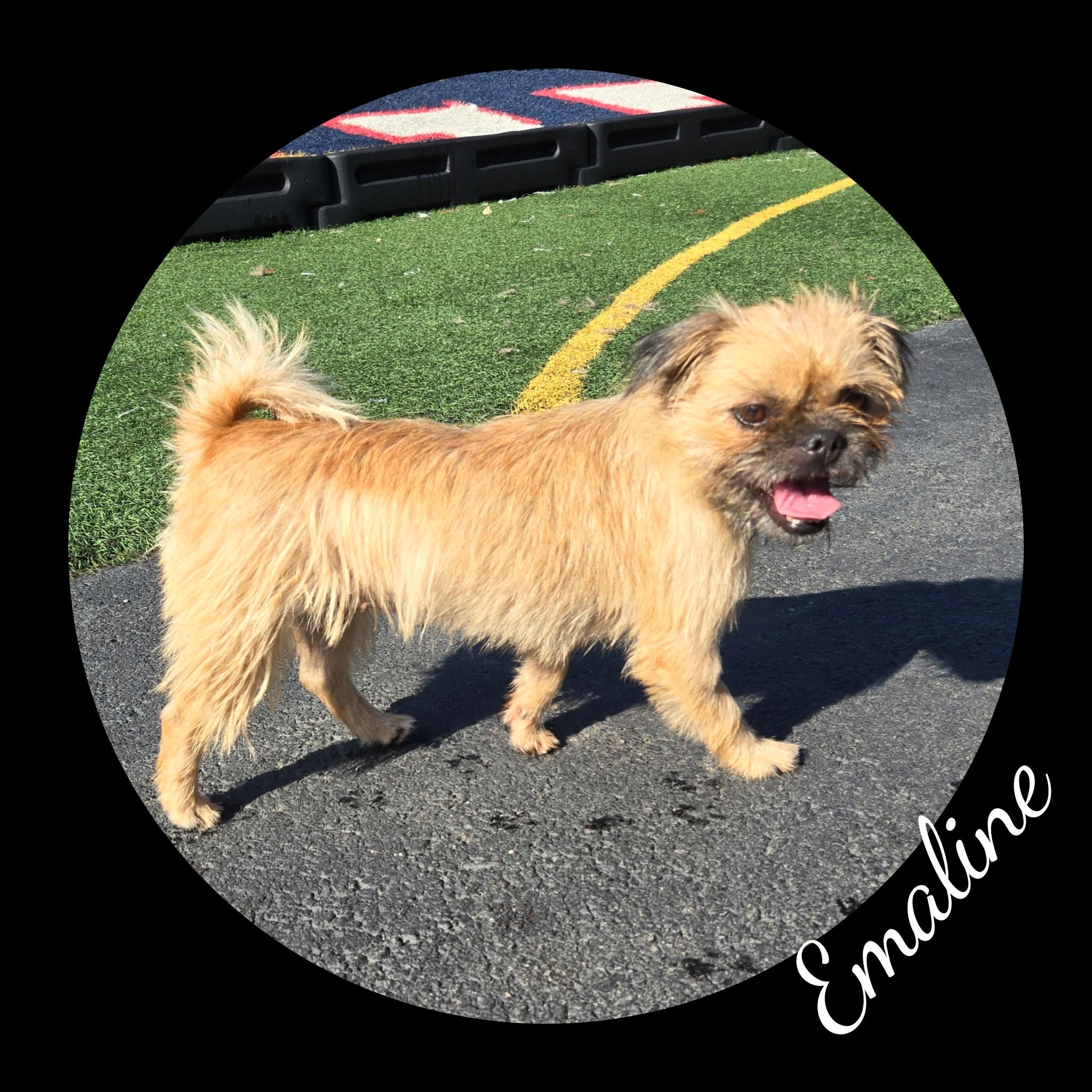 Emaline