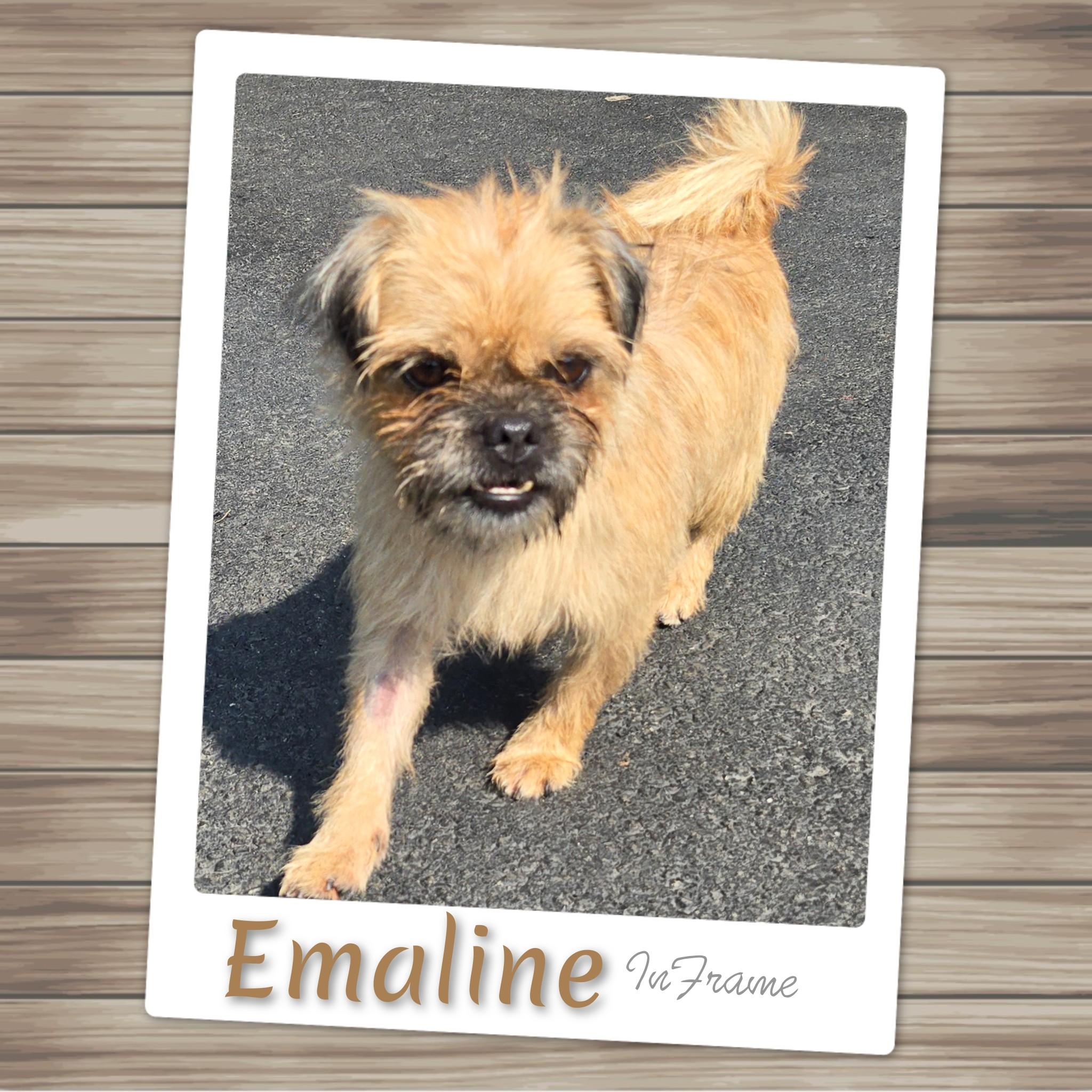 Emaline