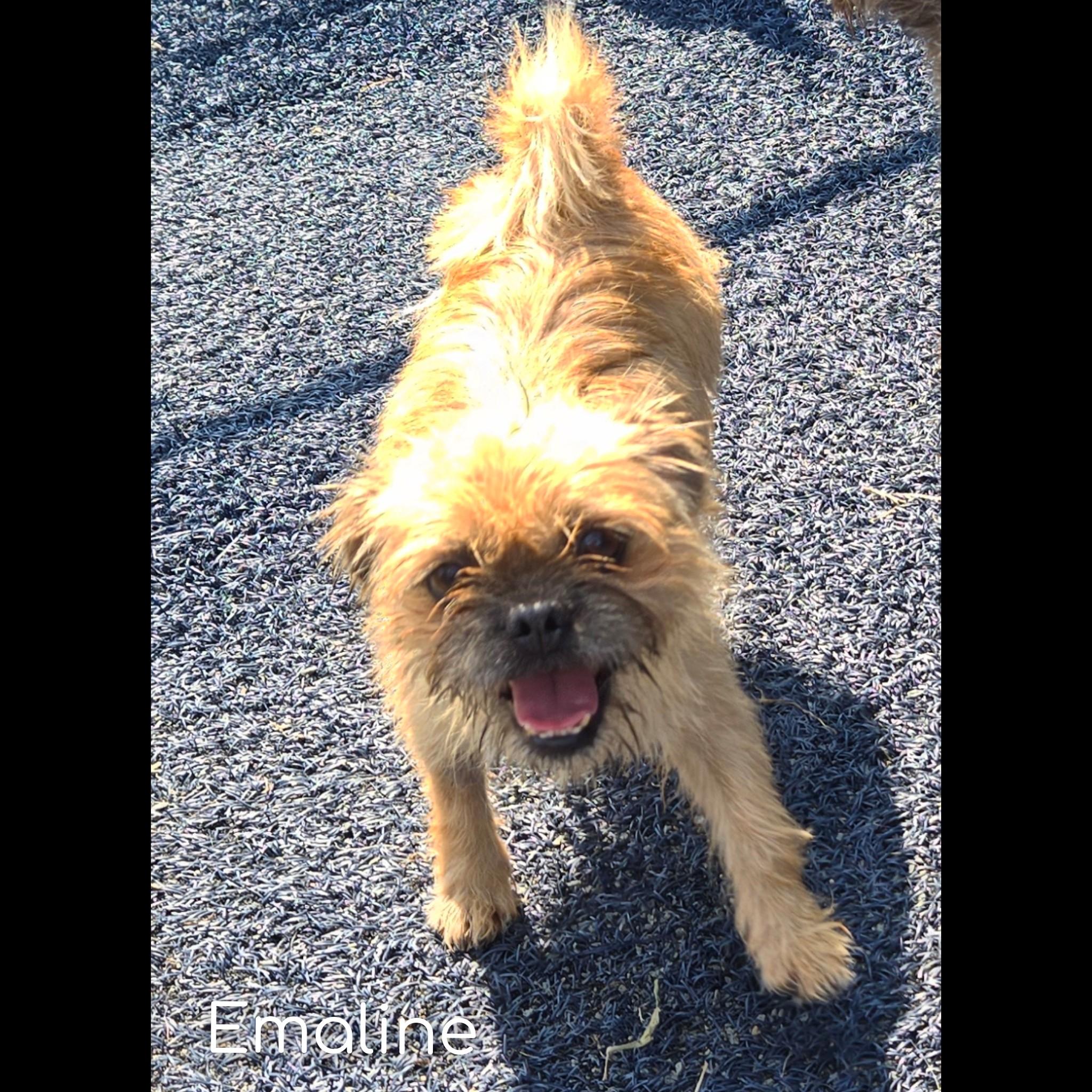 Emaline