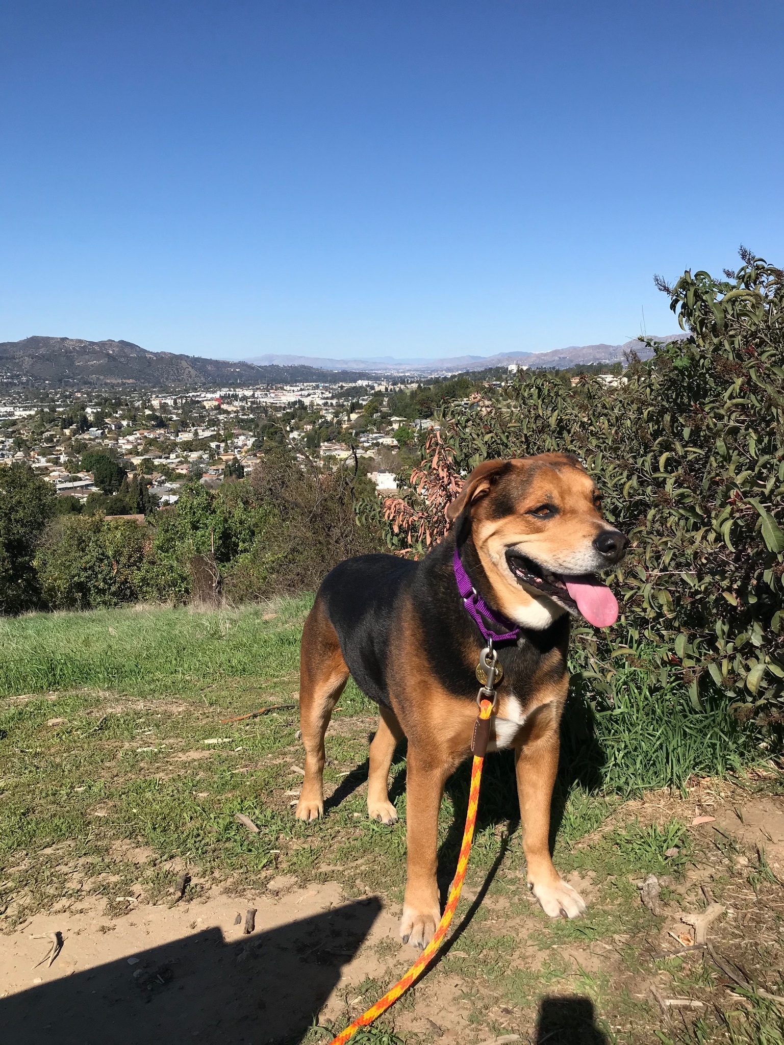 Bruno photo 3