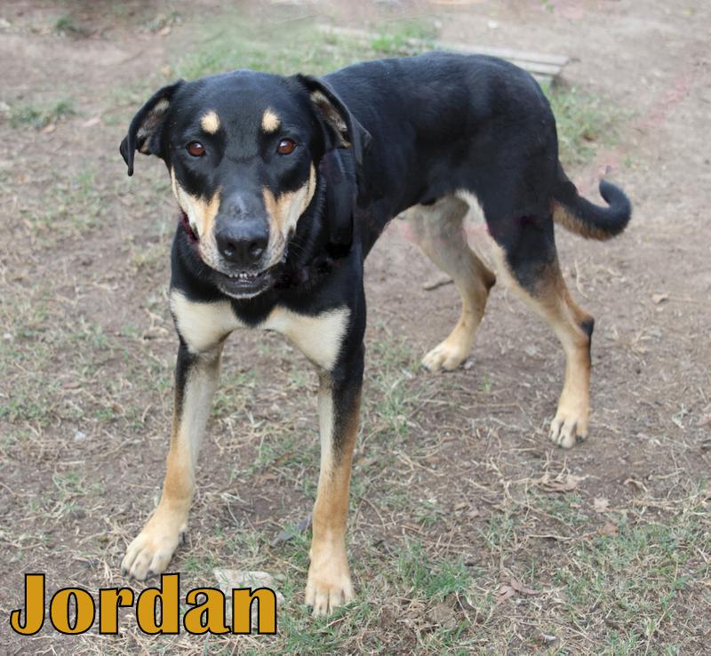 JORDAN photo 2