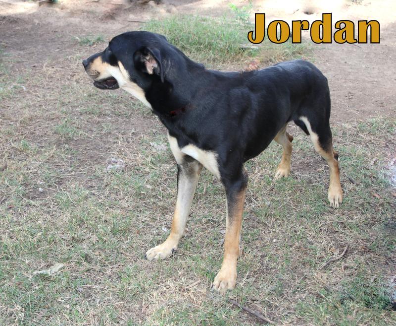 JORDAN photo 4