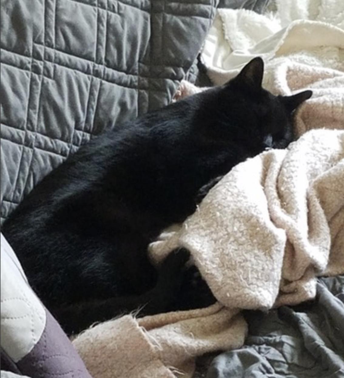 Barry — thumbnail 4