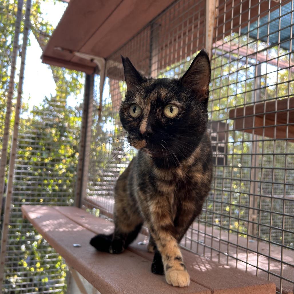 Misty — thumbnail 2