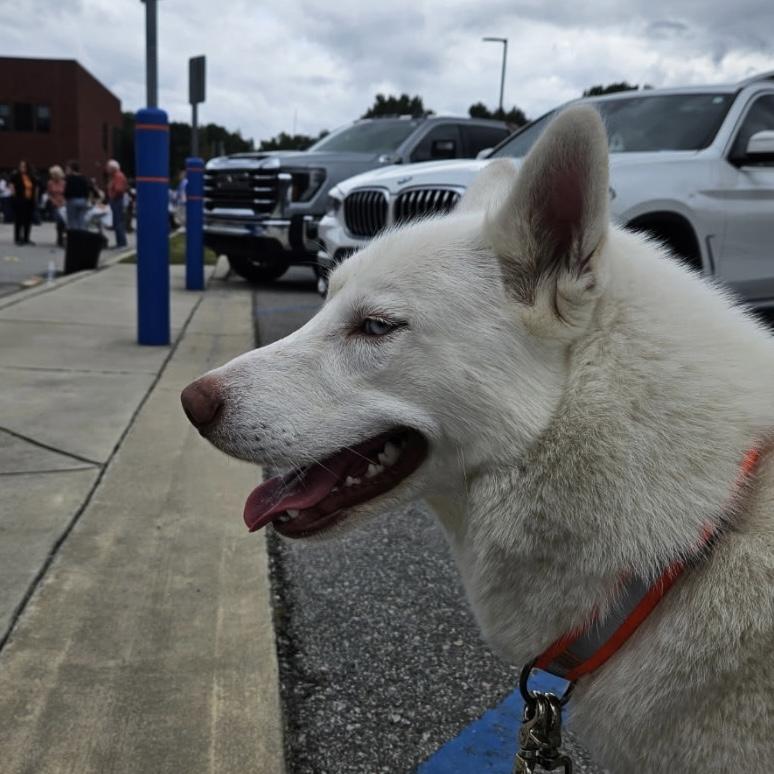 Nuka — thumbnail 4