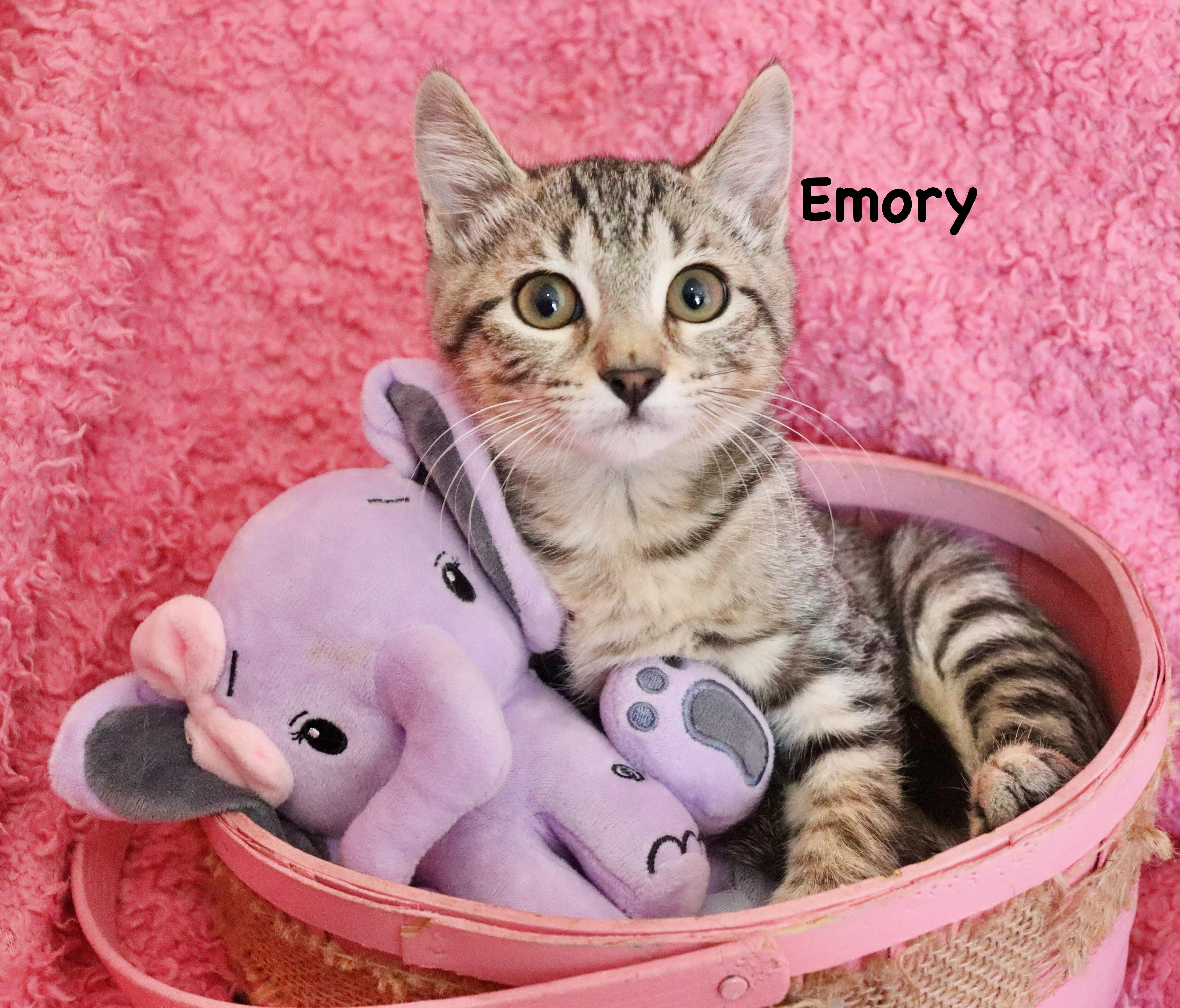 Emery
