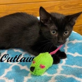 Outlaw