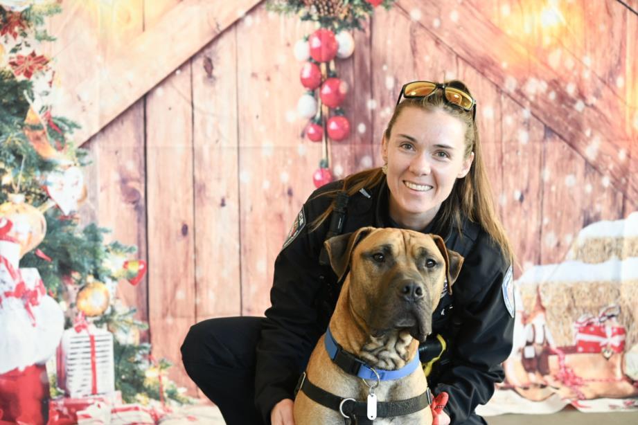 Enlarge THANOS**, a Adoptable mixed breed in Chapel Hill, NC image 1/1