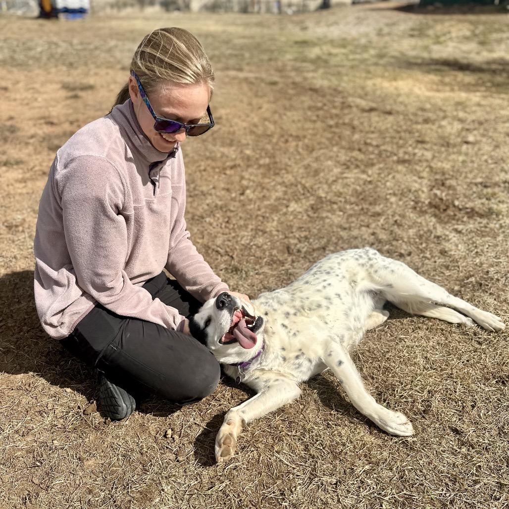 Enlarge Cookie, a Adoptable mixed breed in Glenwood Springs, CO image 6/6
