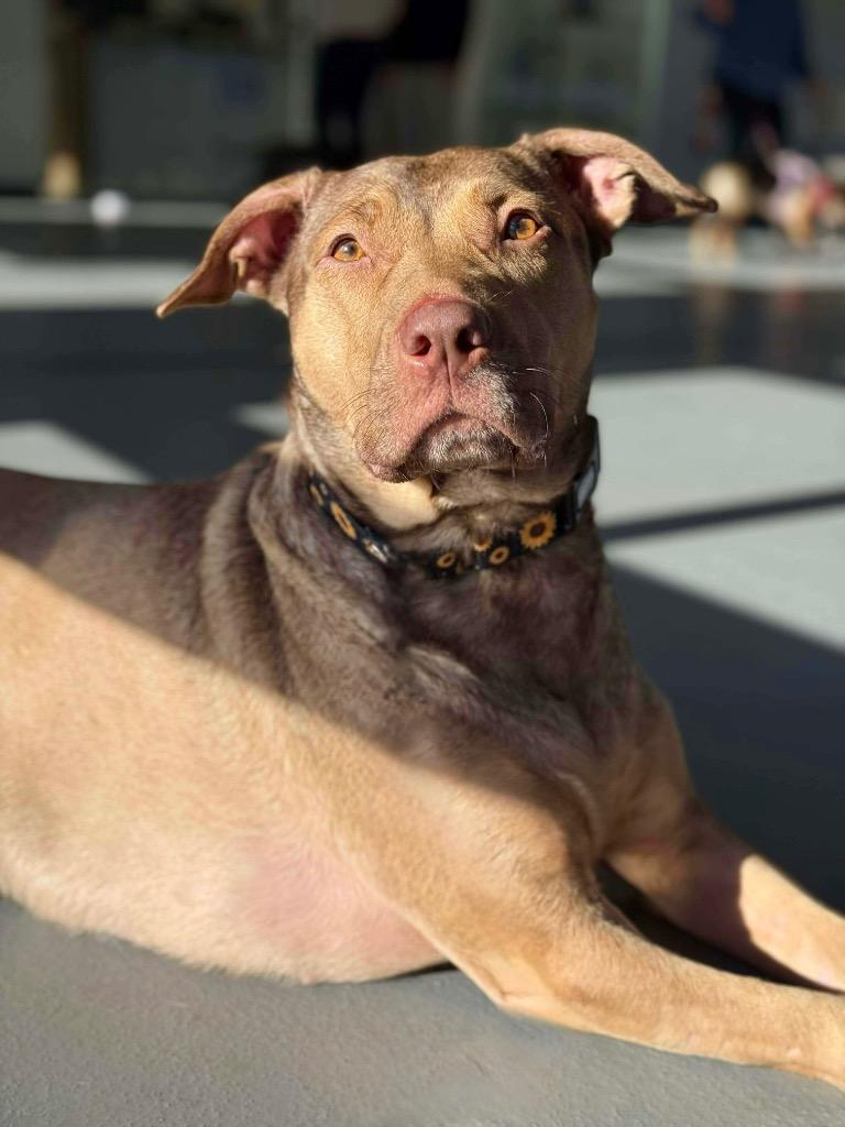 Hunney  Local thumbnail 4