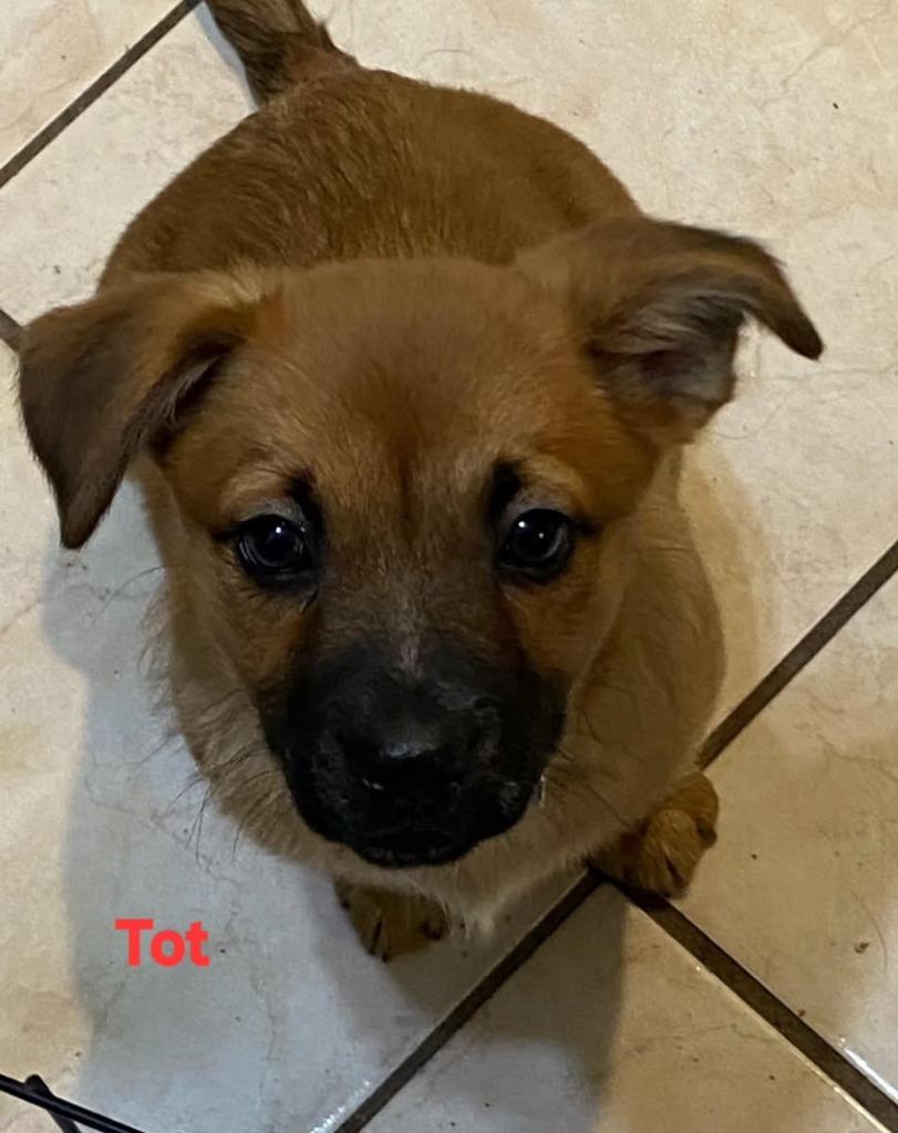 Tot-In a foster home — thumbnail 2