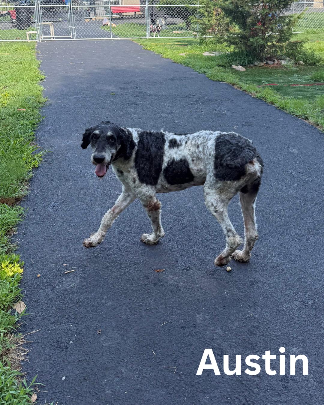 Austin