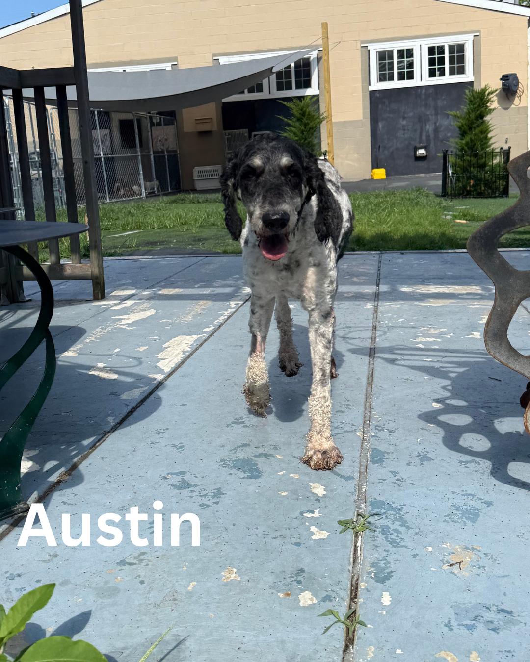 Austin