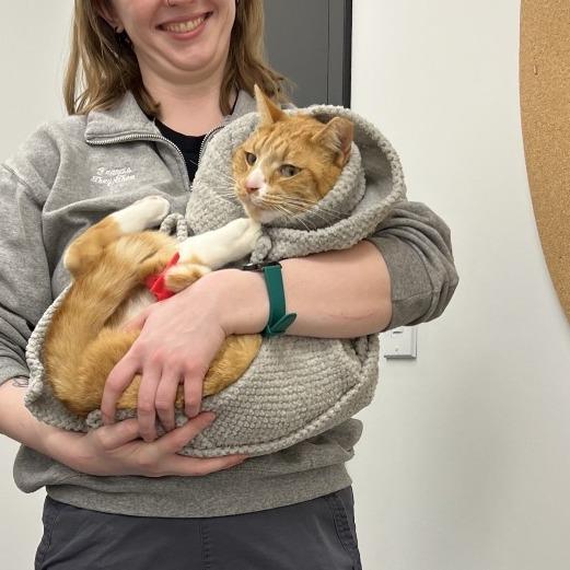 Ferdinand — thumbnail 3