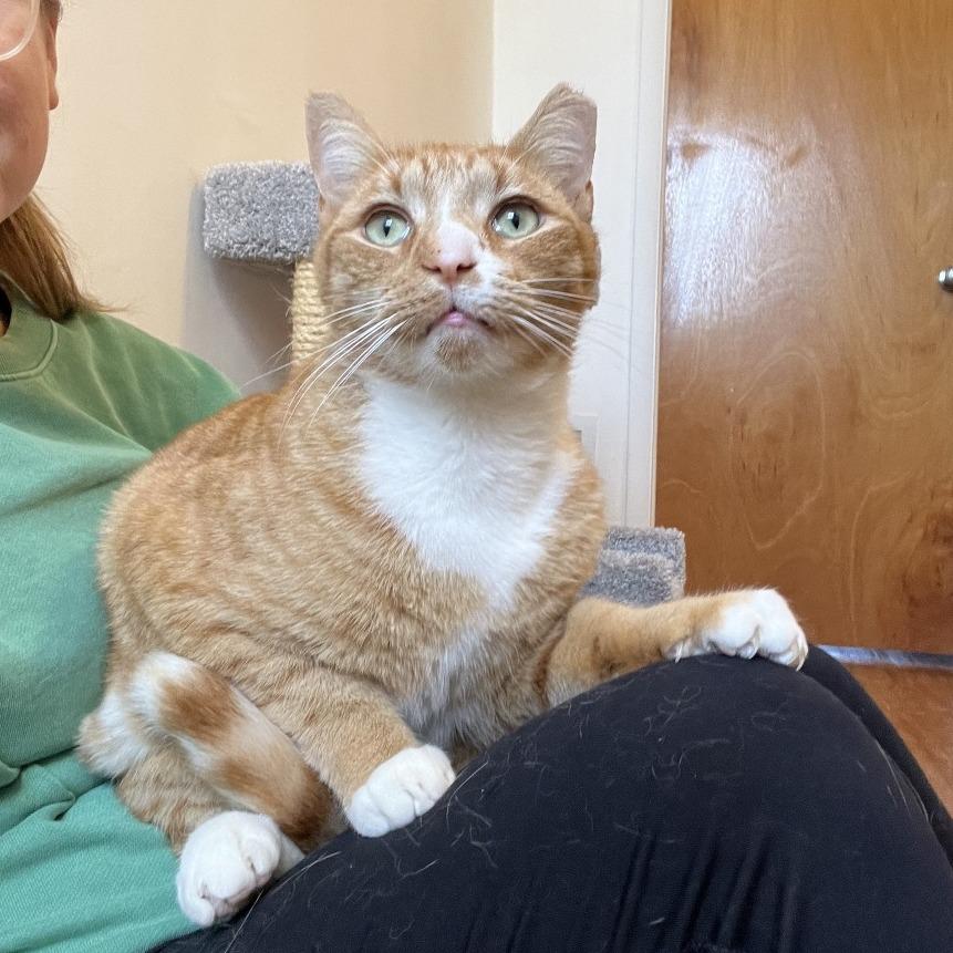 Ferdinand — thumbnail 4