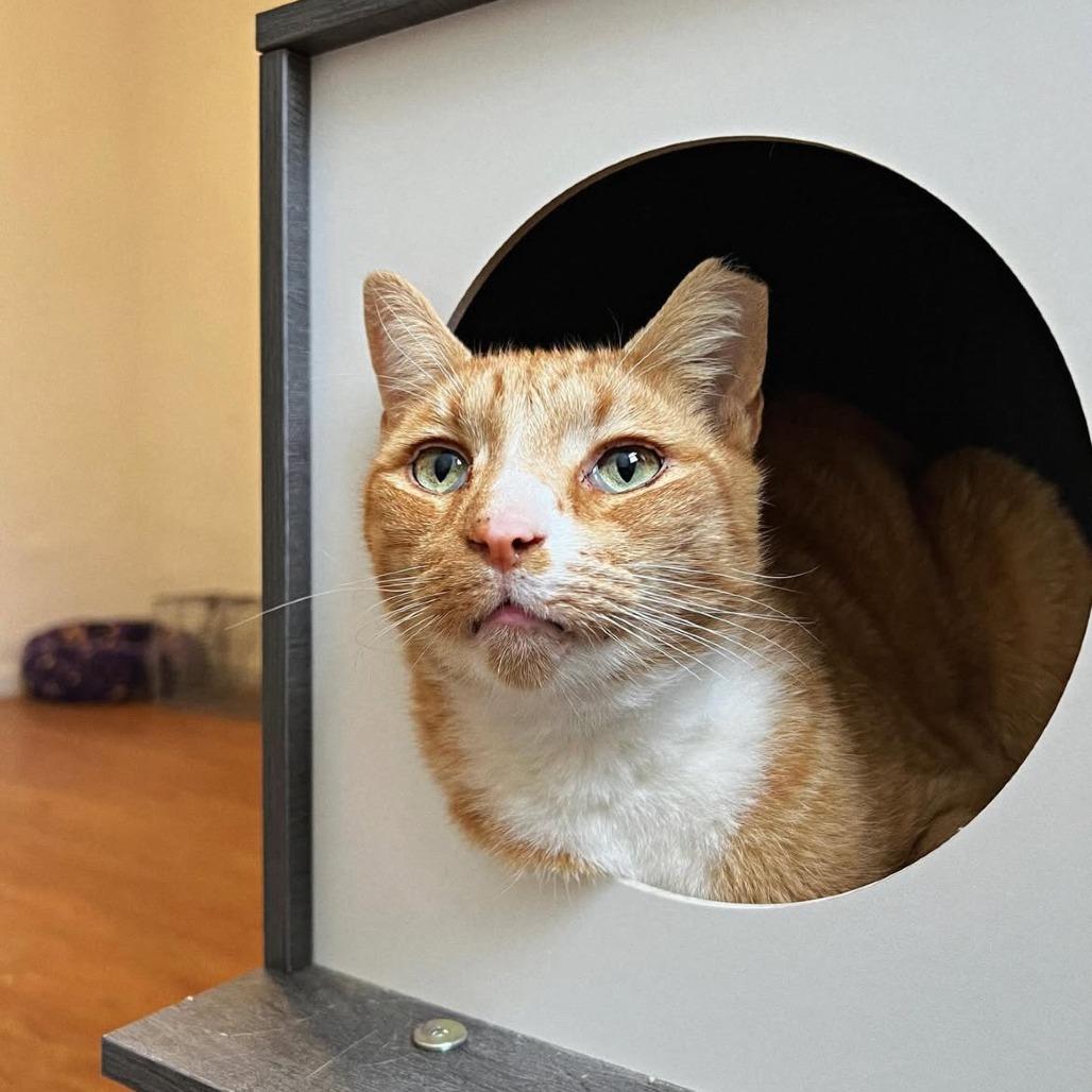 Ferdinand — thumbnail 5