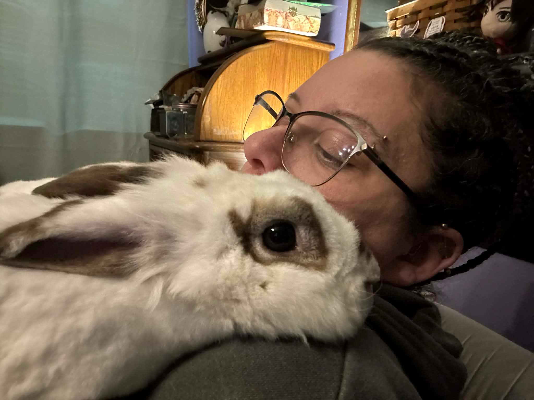 Enlarge Sanford, a Adoptable Rex in Bishopville, SC image 2/5