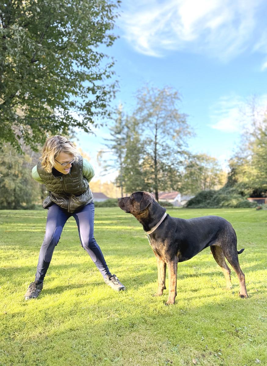 Dorothy, a Adopted mixed breed in Snoqualmie, WA image 4/5
