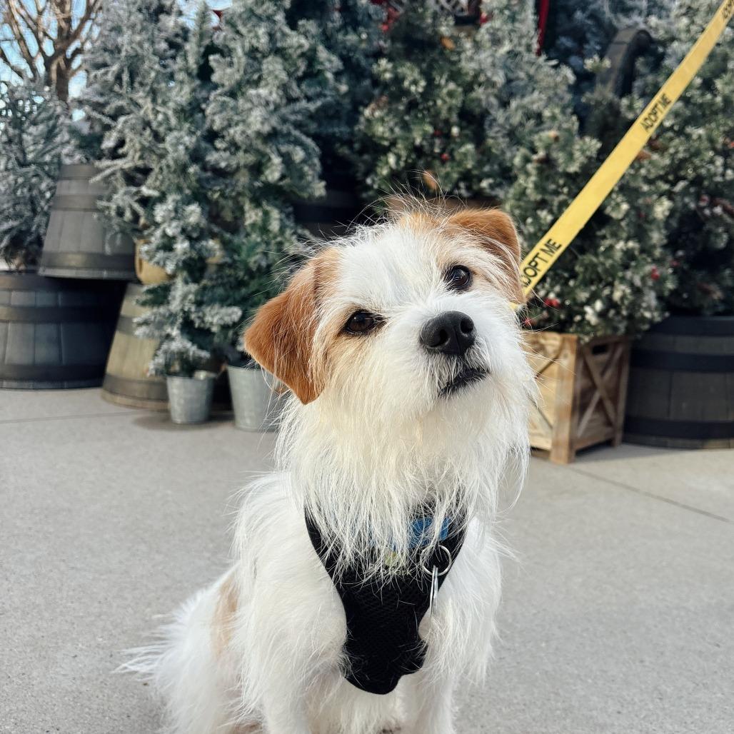 Colby 21922 — thumbnail 2