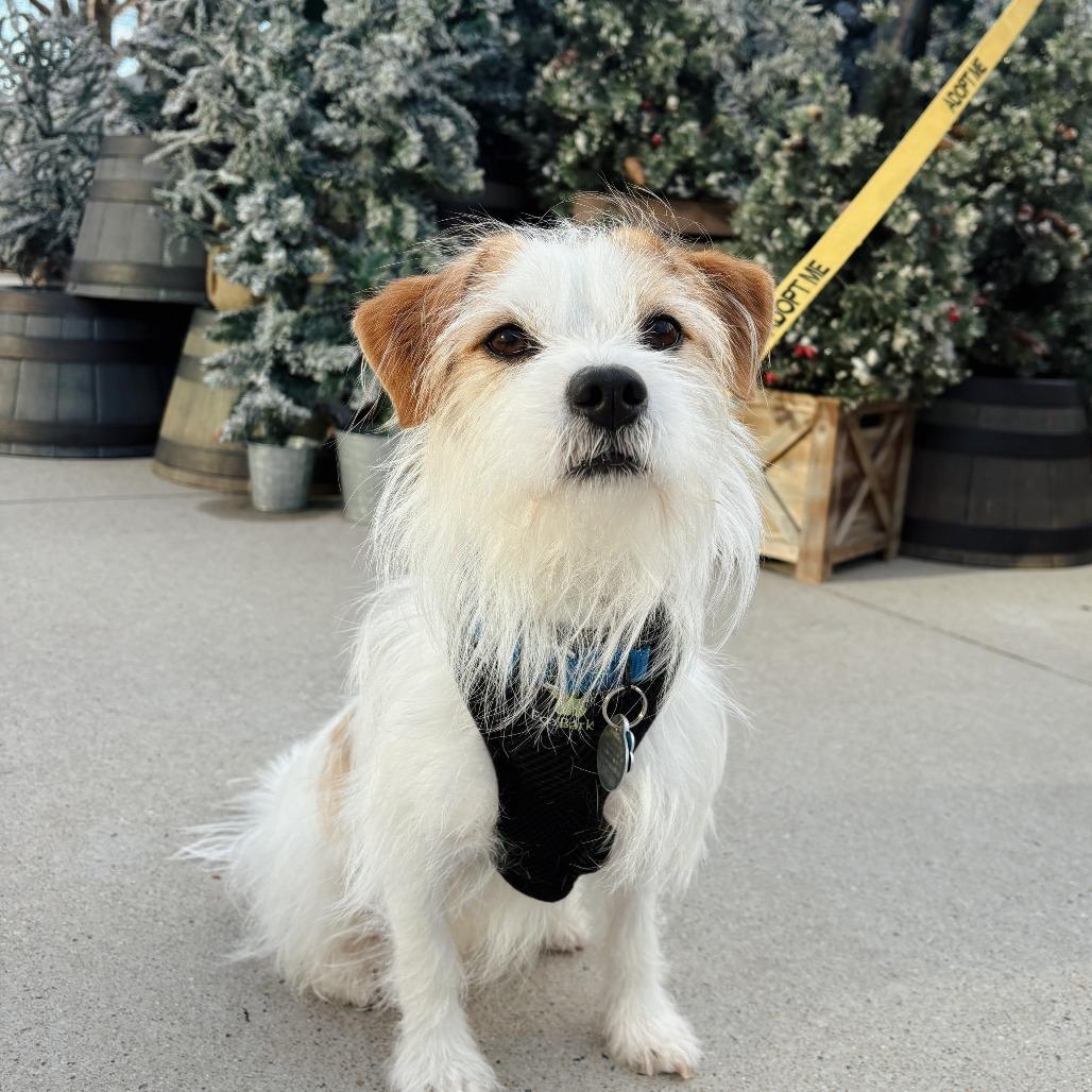 Colby 21922 — thumbnail 3