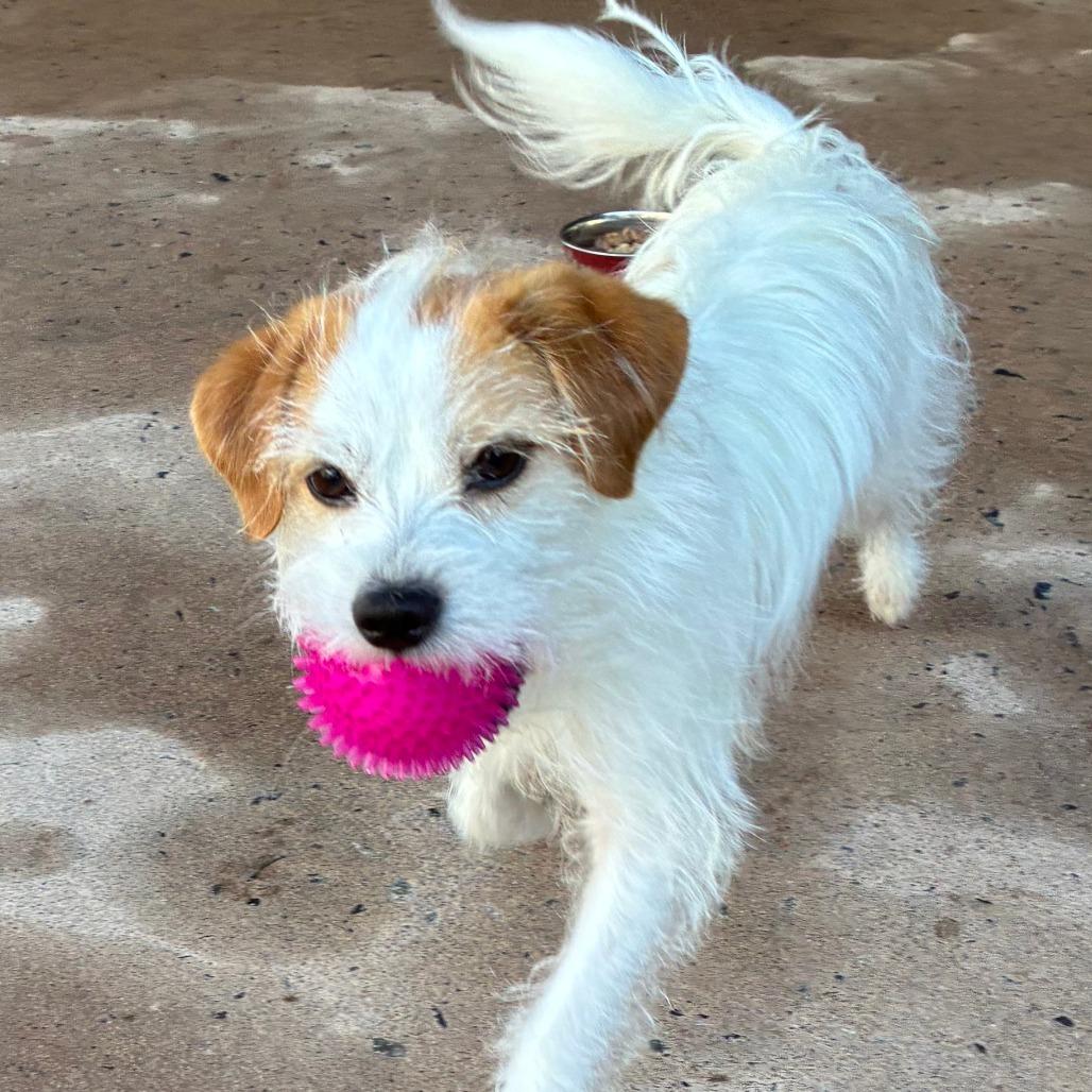 Colby 21922 — thumbnail 4