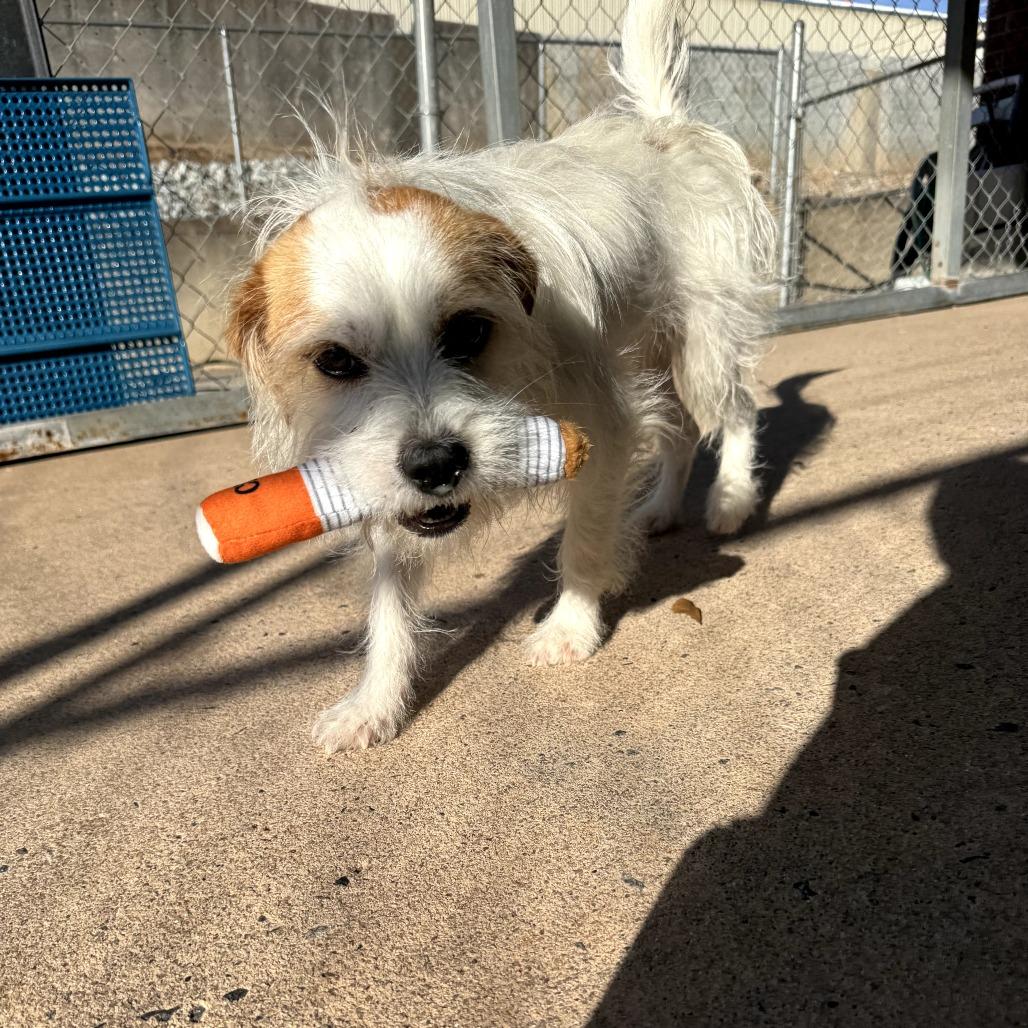 Colby 21922 — thumbnail 5