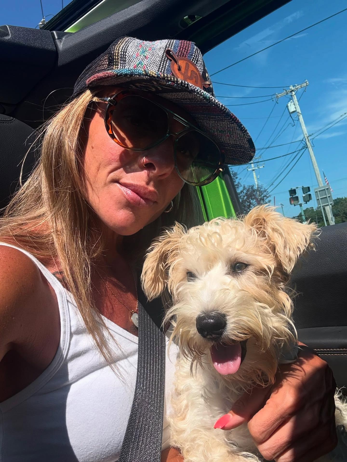 Enlarge Rockefeller, a Adopted mixed breed in Sagaponack, NY image 5/6