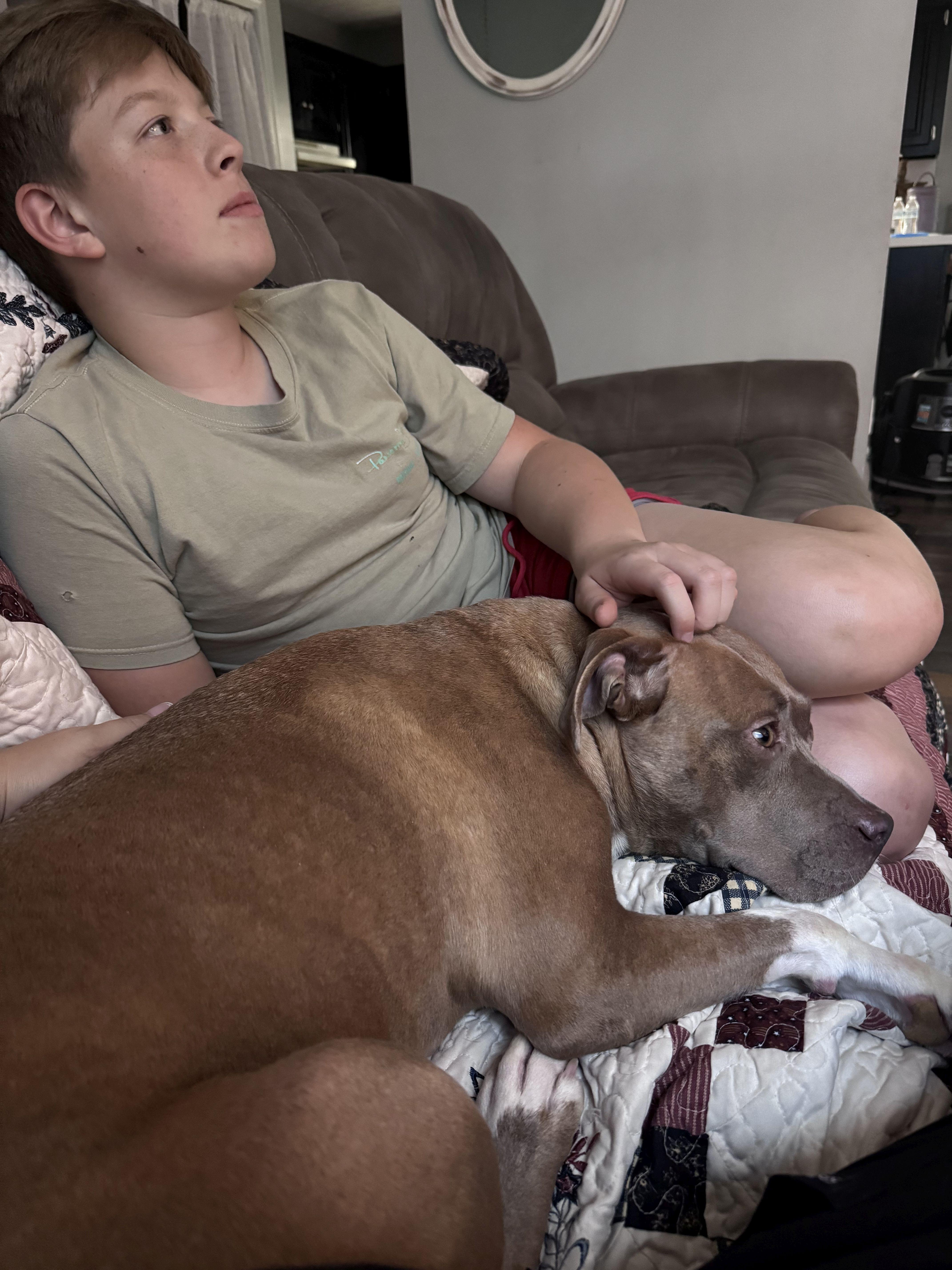 Jazz, a Adoptable mixed breed image 3/6