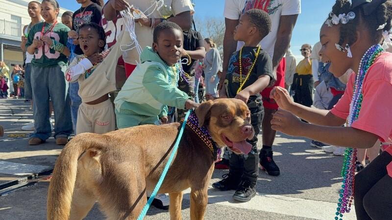 Club Scout the Ultimate Pal